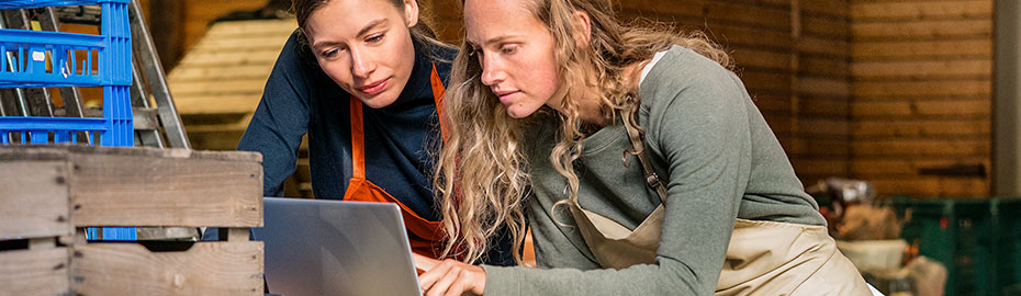 Online Banking Firmenkunden Rheingauer Volksbank Eg